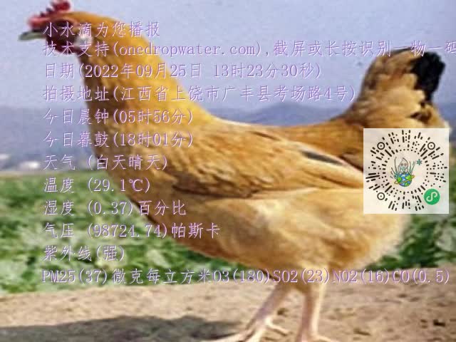 0.mp4