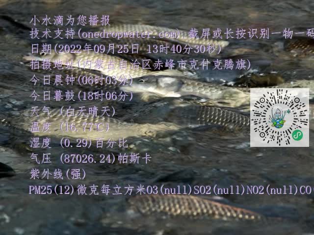 0.mp4