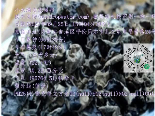 0.mp4