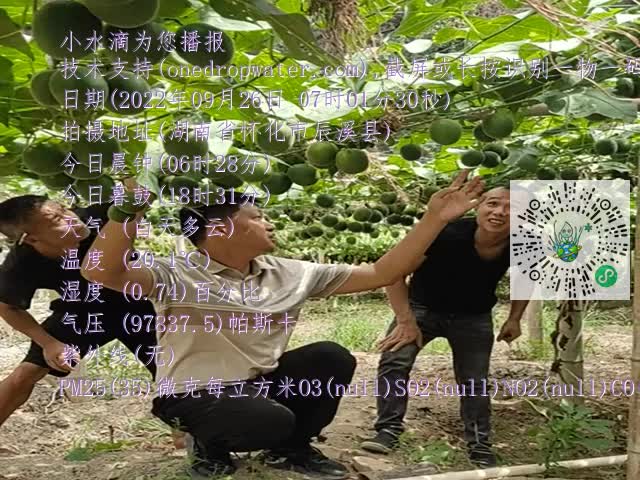 98614f292e58f9664449f9b10834ff52.mp4