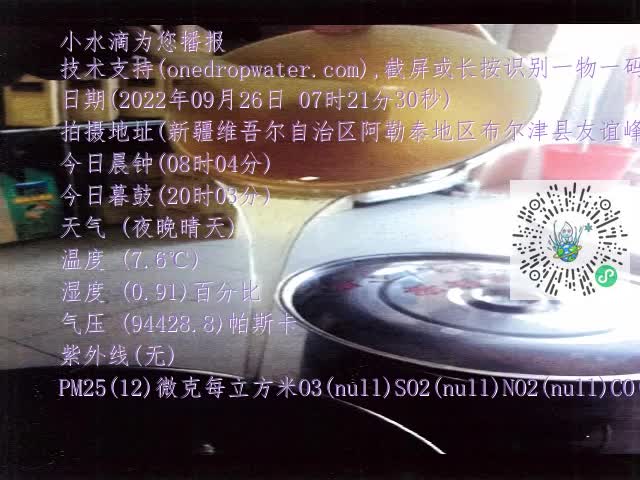 0.mp4