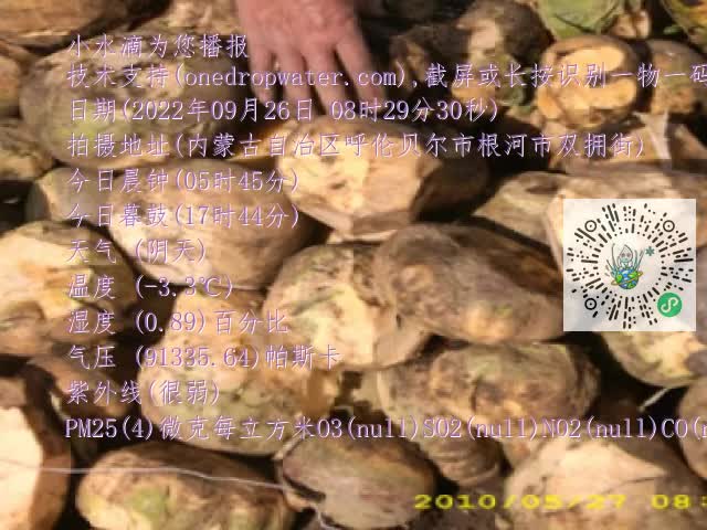 0.mp4