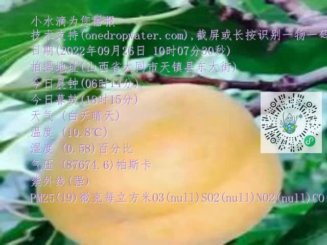 0.mp4