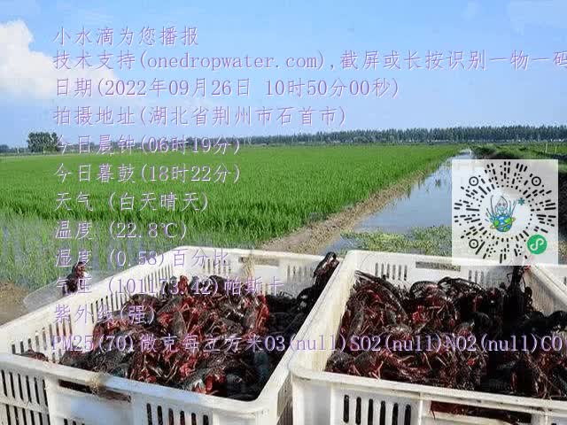 9c8b76a398c17587dc2fc48d5d266ed1.mp4