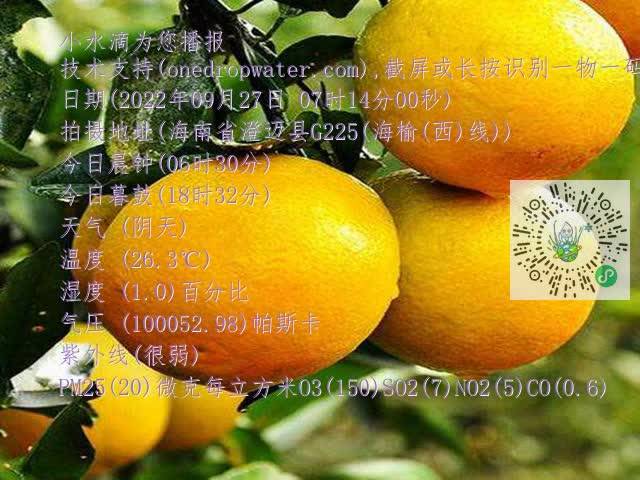 0d8884e3ee204d240a304b211f62da1c.mp4
