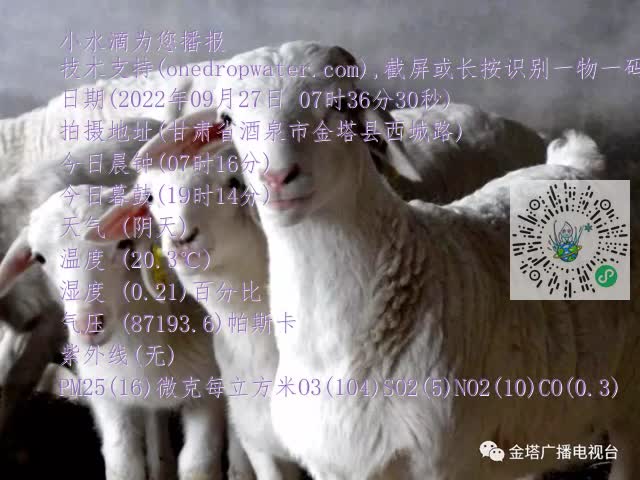0.mp4