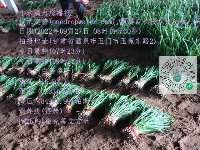 0.mp4