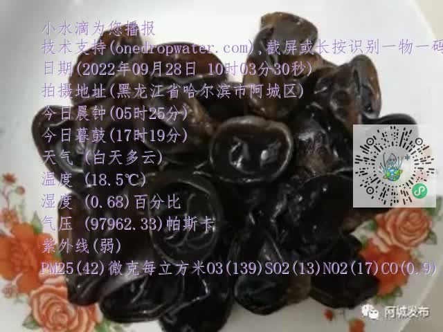 0.mp4