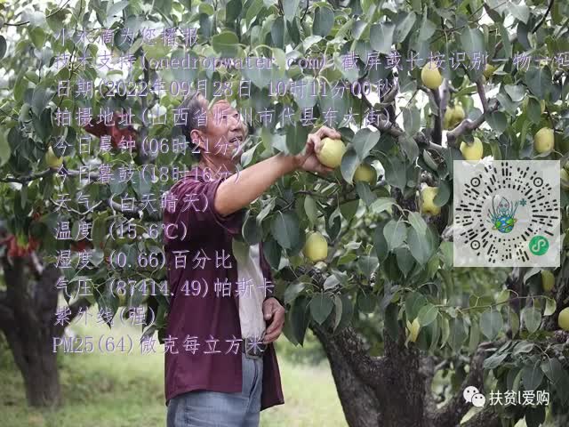 0.mp4