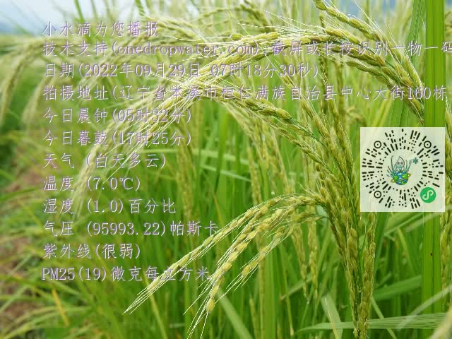 0.mp4