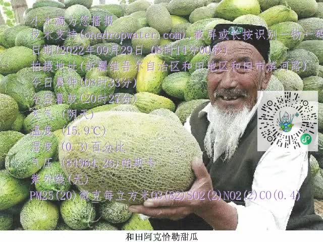 0.mp4
