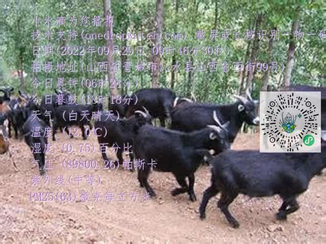 0.mp4