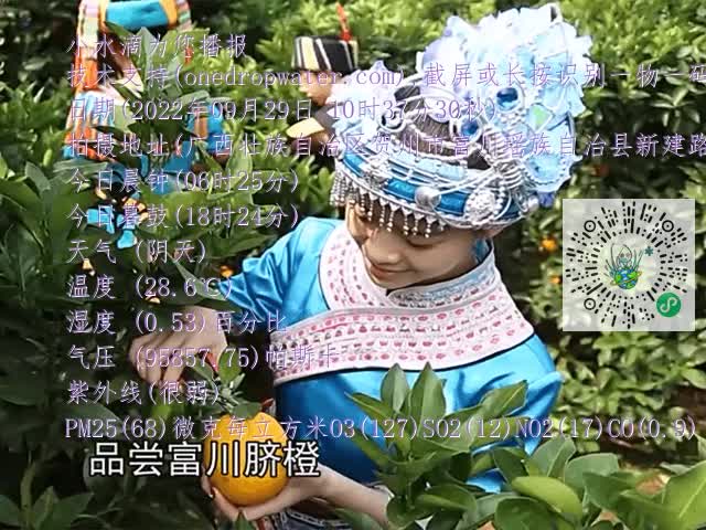 dd8090a4e4d4c7718ed15ab6692d8051.mp4