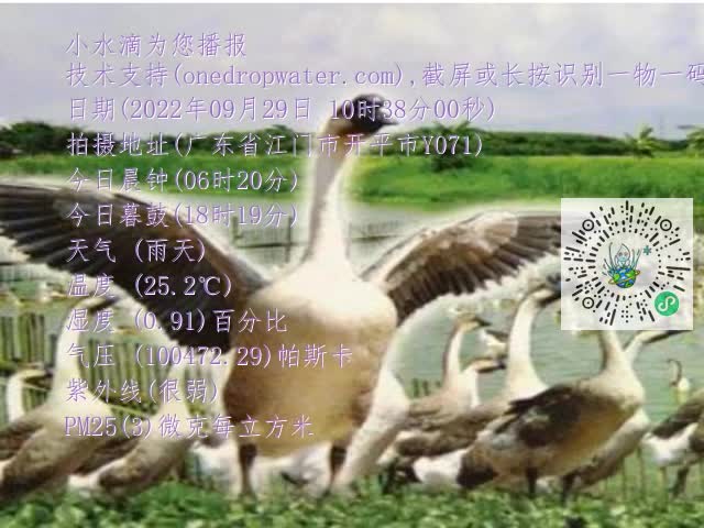 0.mp4