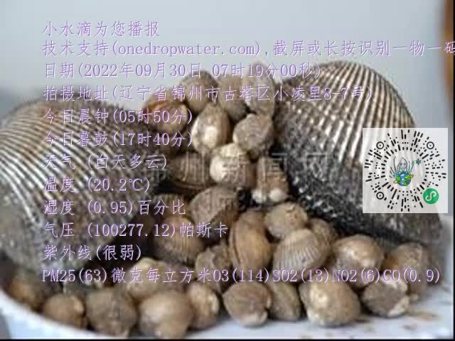 0.mp4