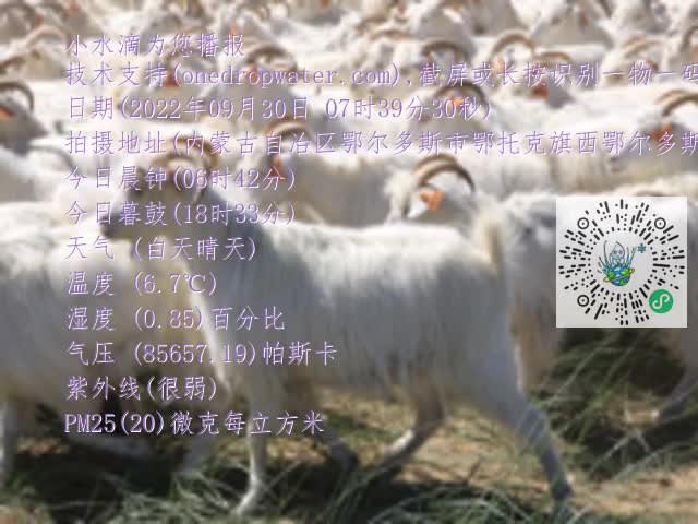 0.mp4