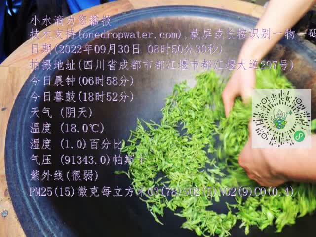 0.mp4
