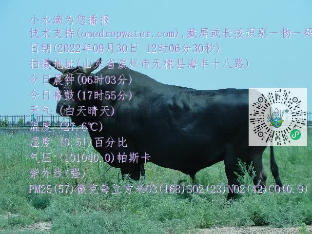 0.mp4