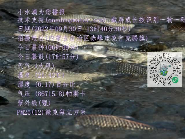 0.mp4