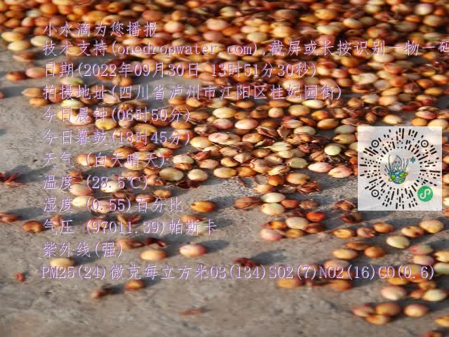 0.mp4