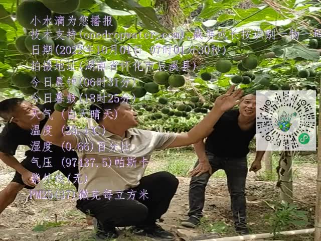 98614f292e58f9664449f9b10834ff52.mp4