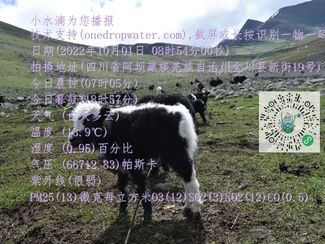 0.mp4