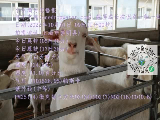 0.mp4