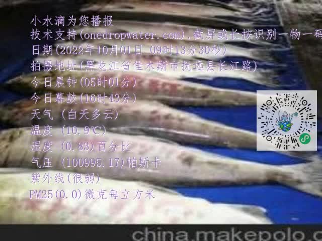 0.mp4