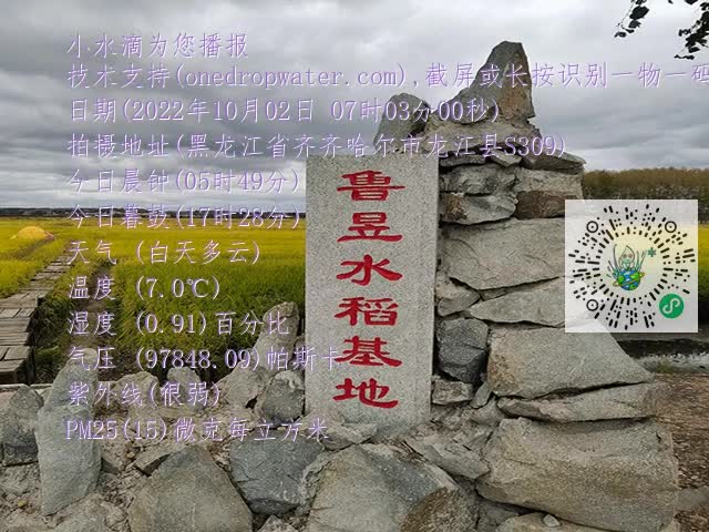 cac611f199699d4f5c2057698ecd980f.mp4