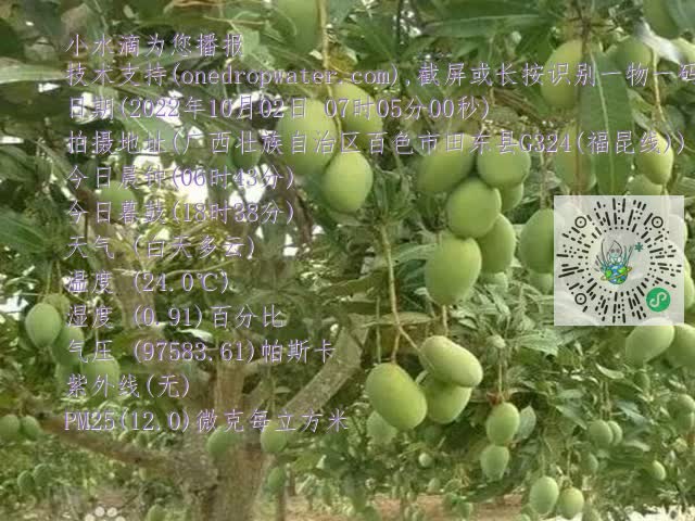 8ef11e115cff7ad3080e45ead4504c5b.mp4