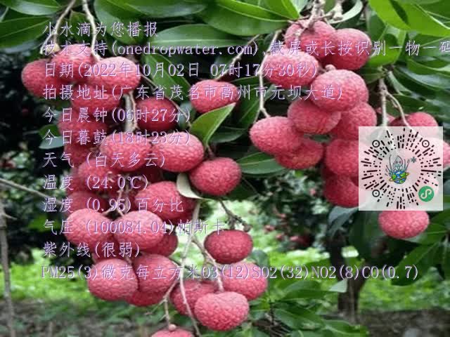 fa89a57207479821c701b64d8ff32aa6.mp4