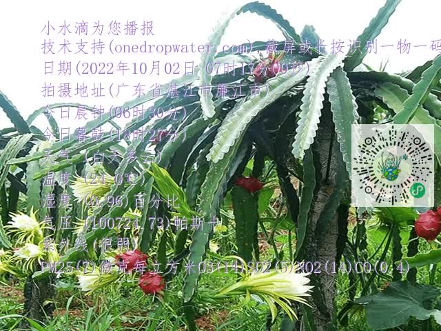 7e9a1e27ad1aa5fc3bd75c59ea50888e.mp4