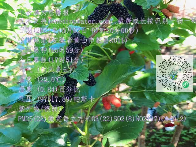 18053b670e2cd33b08f50659850fbd57.mp4