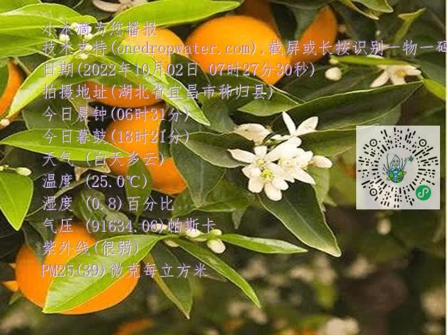 f1fac5e38601cdf40f959c1222e9362e.mp4