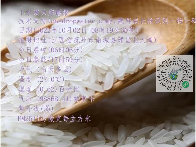 0.mp4