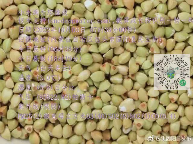 0.mp4