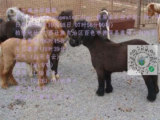 0.mp4