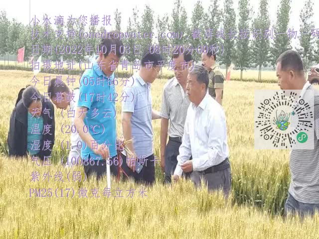 0.mp4