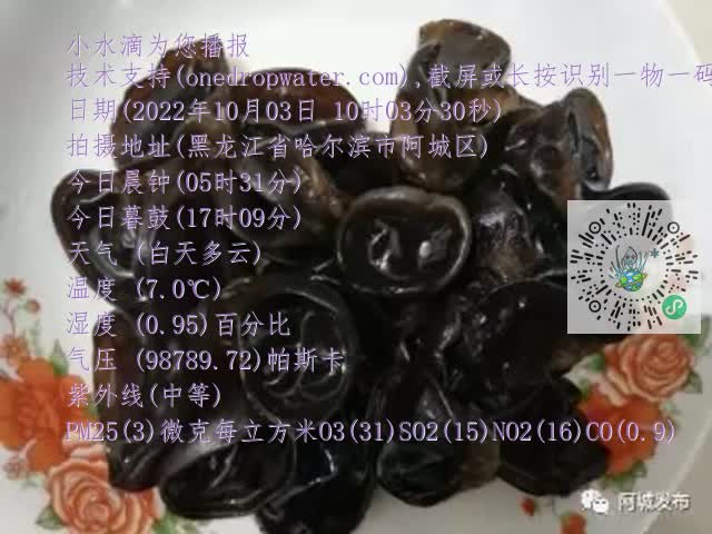 0.mp4