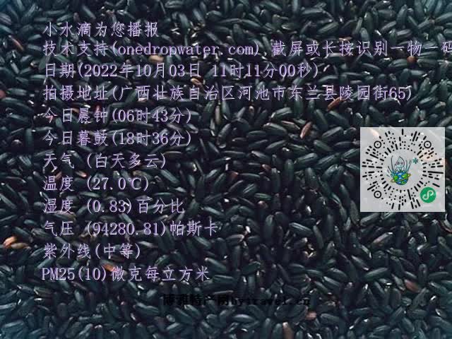 0.mp4