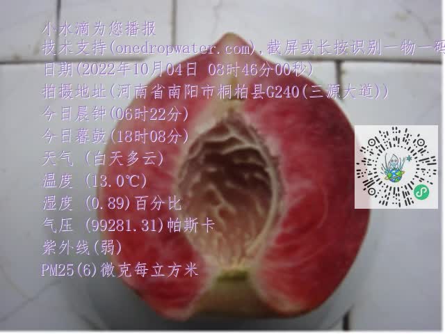 0.mp4