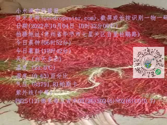 0.mp4