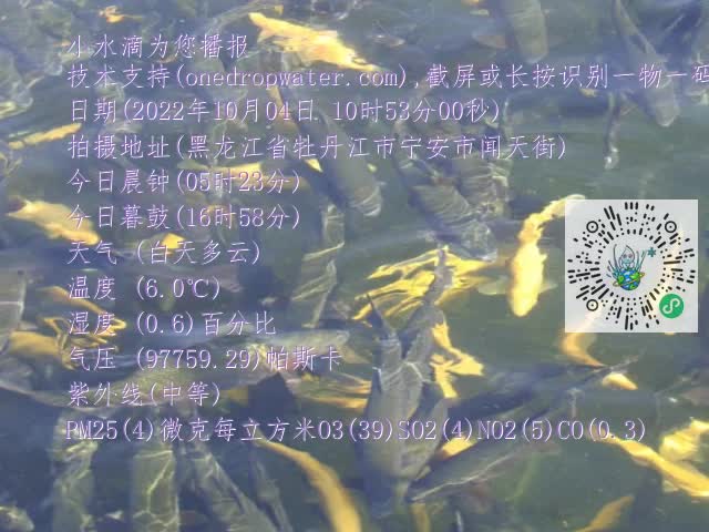 0.mp4