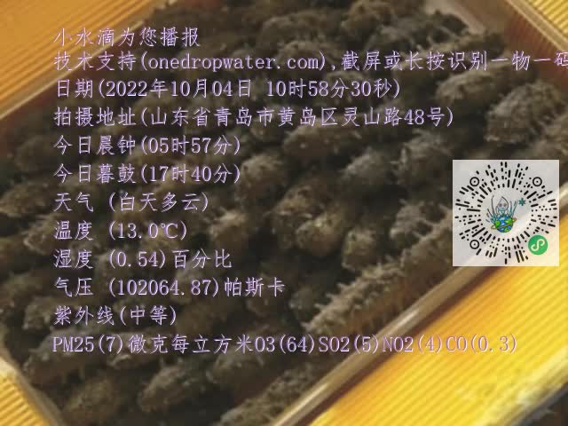 0.mp4