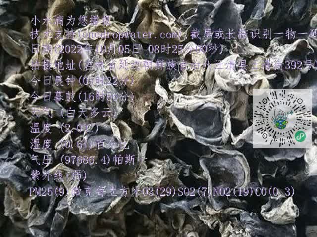0.mp4