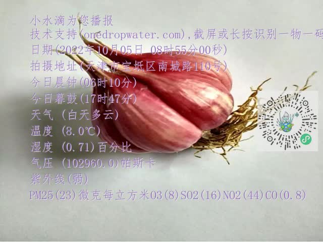 0.mp4