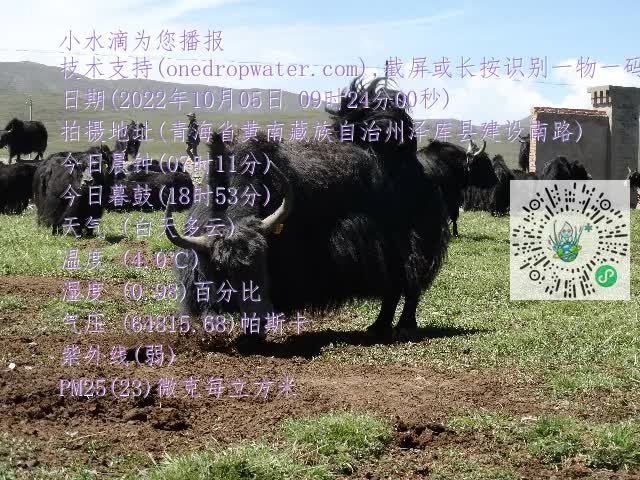 0.mp4