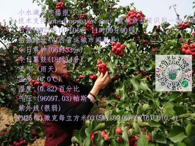 0.mp4