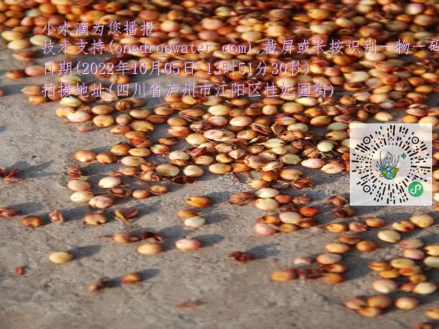 0.mp4