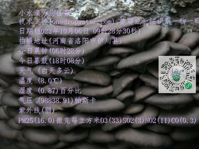 0.mp4